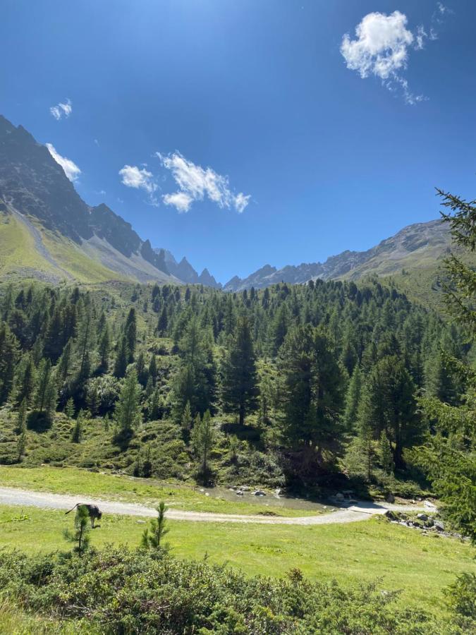 Apart Wiesenplatzl Kaunertal Εξωτερικό φωτογραφία